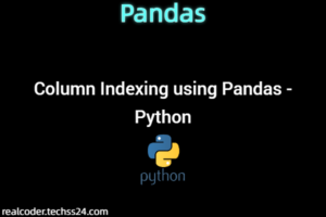 Column Indexing using Pandas - Python