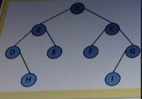 MCQs Data Structure 60+