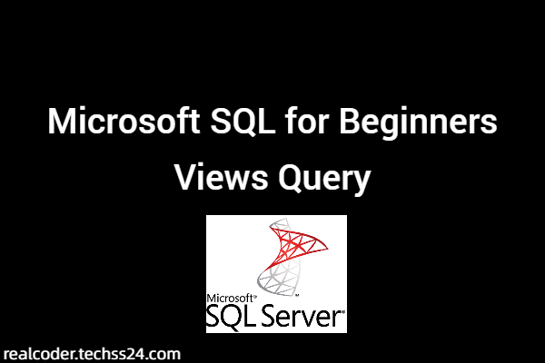 Microsoft SQL for Beginners Views Query